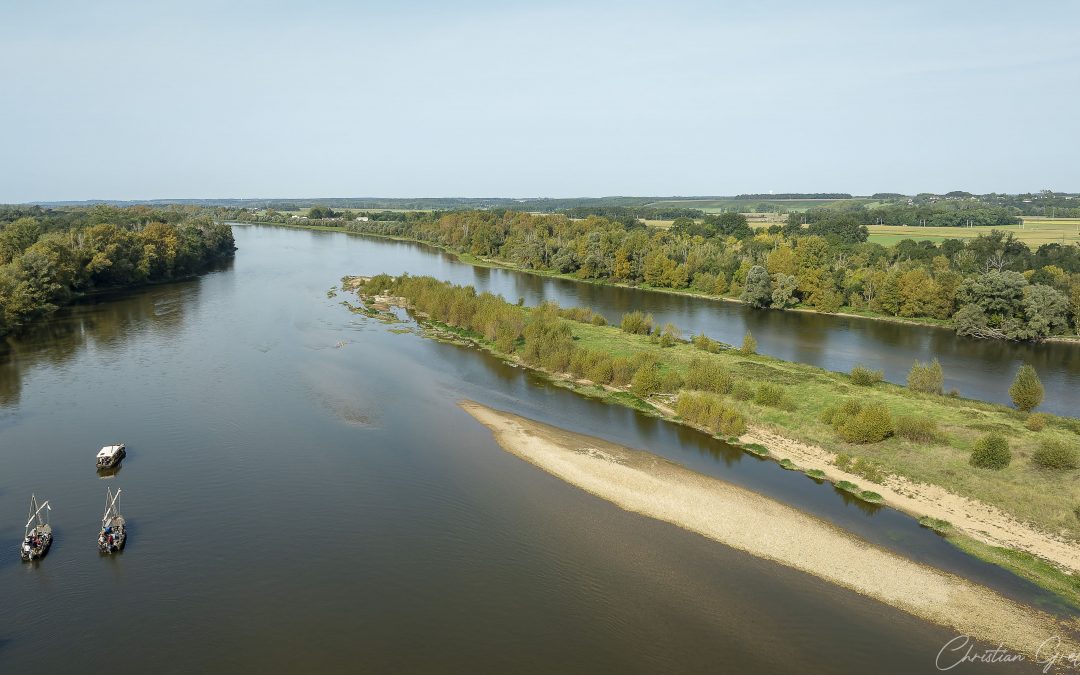 La faune de Loire comme si vous y étiez