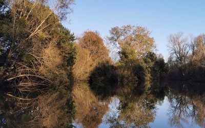 Balade du jeudi 24 octobre