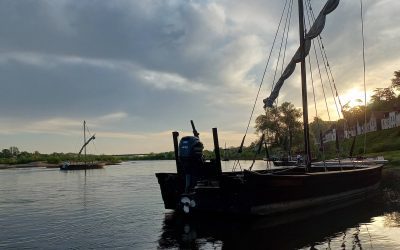 Retour sur la balade ornithologique du samedi 12 Avril 2025