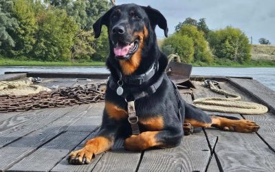 Rétrospective photo 2025